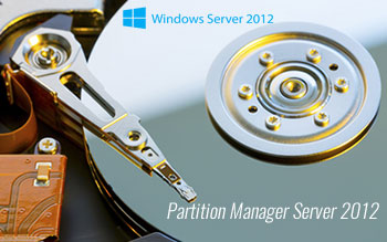 Partition Manager